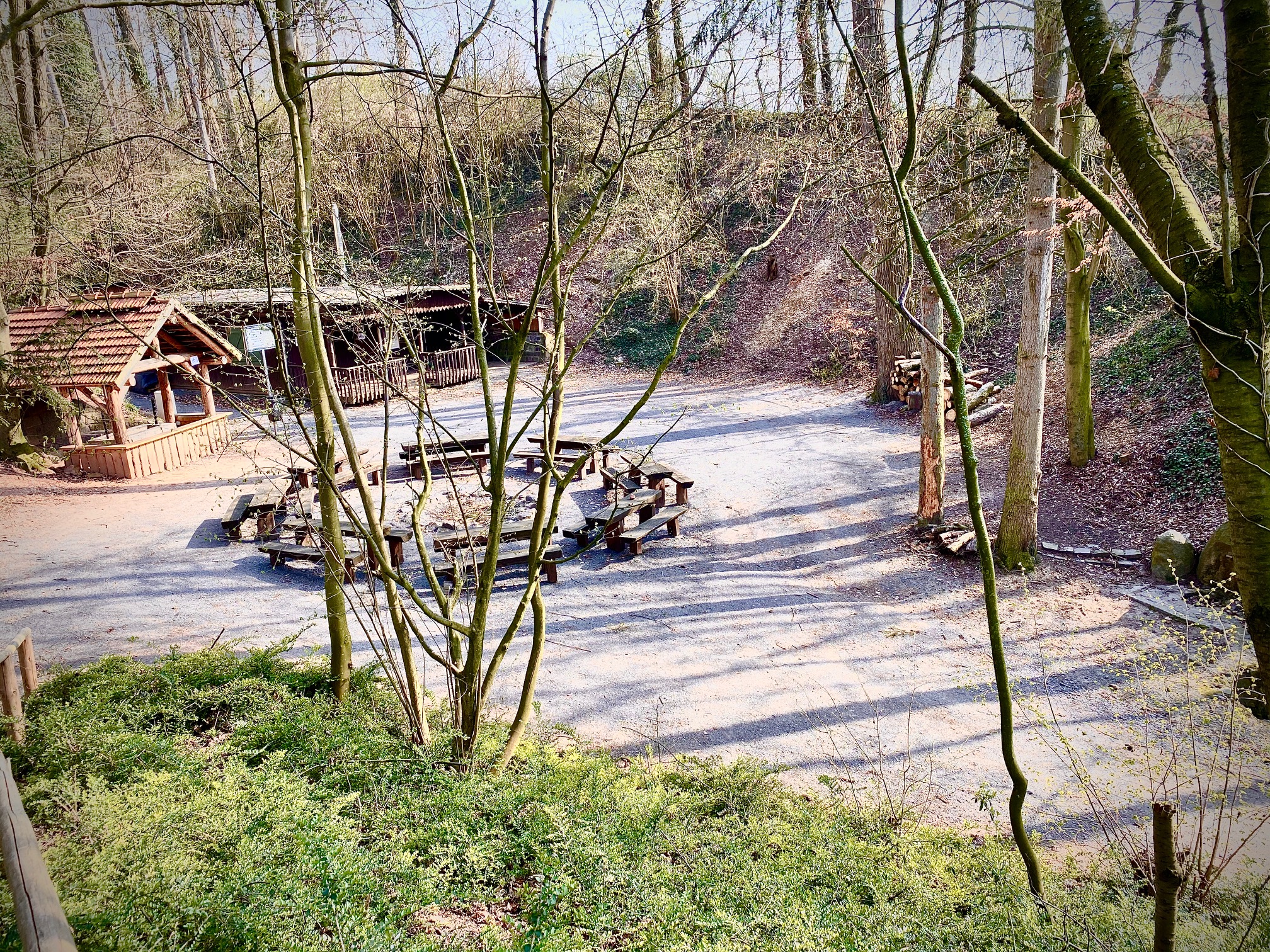 Frühling im Hollergraben